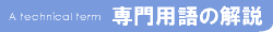 ���p��̉��